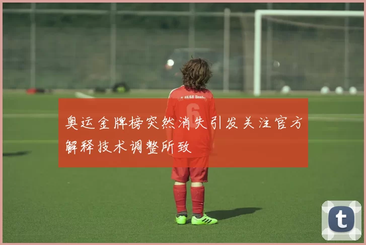 奥运金牌榜突然消失引发关注官方解释技术调整所致