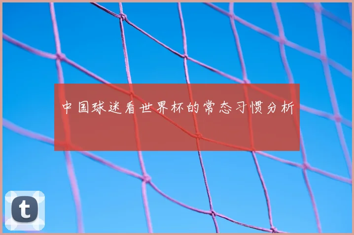 中国球迷看世界杯的常态习惯分析